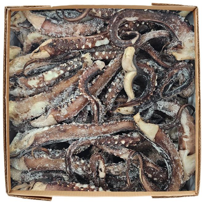 [인생건어물] 가문어통족 대 10kg 대용량 업소용, 1개