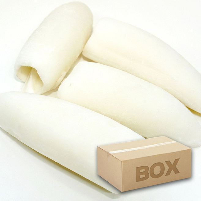 갑오징어롤 3/5 4kg 냉동 갑오징어 몸살 동체 태국산, 1박스