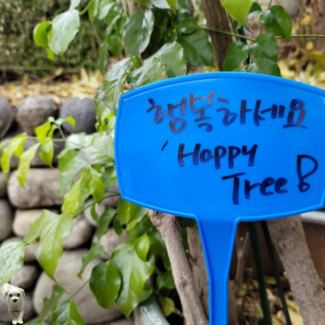 꿀이맘투 화분 이름표 50cm 화분팻말