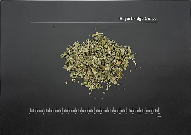 건조 쐐기풀 잎 Nettle Leaf Urtica dioica 100g - 쿠팡