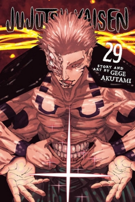 (英文圖書)Jujutsu Kaisen Vol. 29 平裝版, Viz Media, 英文