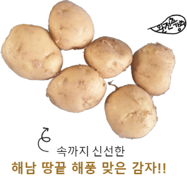 쌍쌍촌 해남 땅끝 해풍 맞은 감자 / 특 대 중 / 3kg 5kg 10kg, 감자 중, 1개