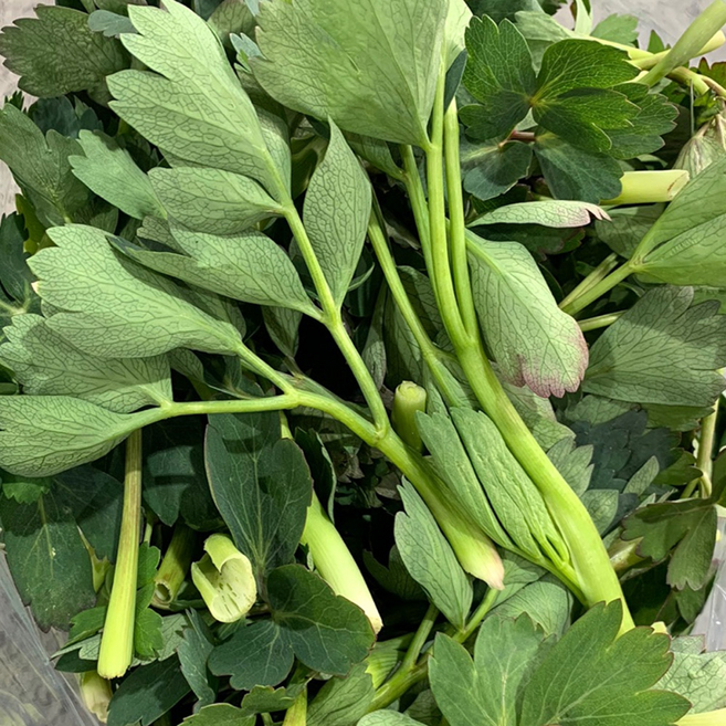 [매년완판농장] 봄철보약 향긋한 금오도 방풍나물, 1박스, 3kg