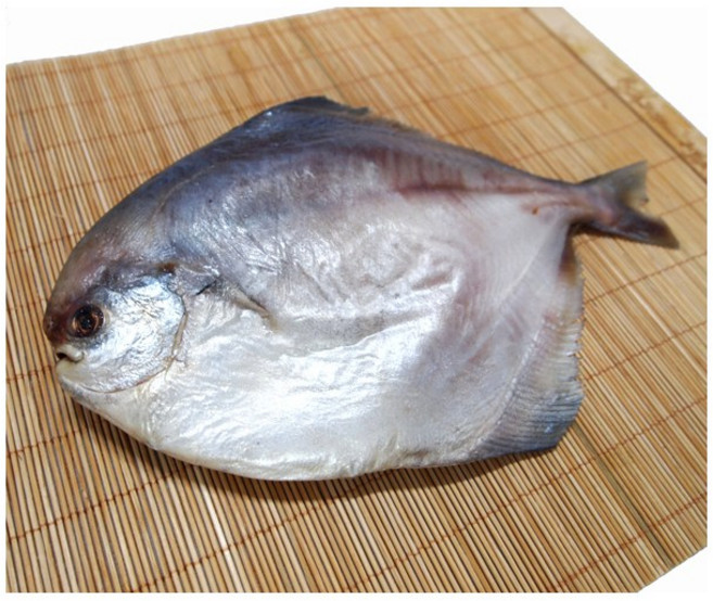 반건조 병어 1마리 말린생선 건조생선 반건조생선 제찬생선 제수용생선, 반건조병어(대) 1마리, 1개, 350g내외