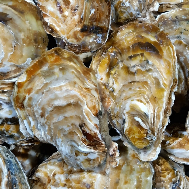 통영 성우수산 산지직송 깨끗한 세척 선별 석화 각굴 5Kg 10Kg 15Kg 20Kg, 1박스