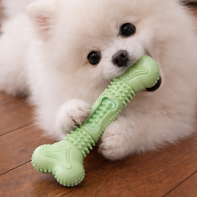 모디홈 강아지 이갈이 장난감 뼈다귀 스틱, 1개, 세이지그린