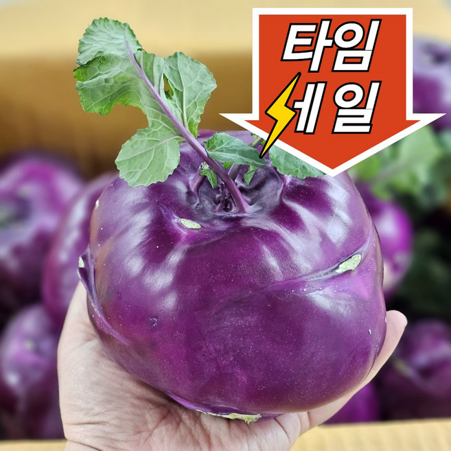 [농장직송] 국내산 고당도 콜라비 혼합과, 3kg, 1박스, 3kg