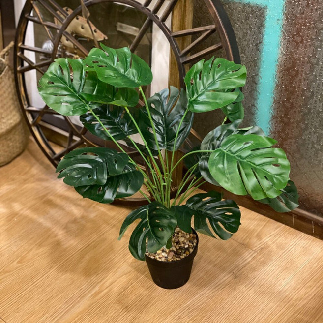 GXS拍照道具 室內裝飾綠植 免澆水, 綠色龜背竹18葉-55cm, 1個
