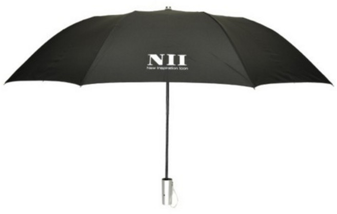 2단 자동우산 블랙 NII