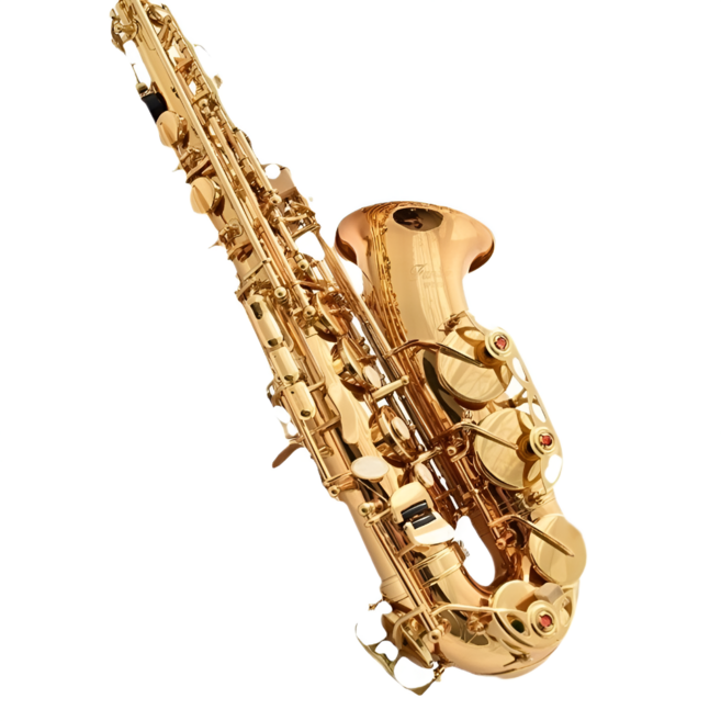 이스턴 SAX-802 프리미엄 알토 색소폰 Eb조 입문용 전공 시험용 골드 전착 도장, 1개