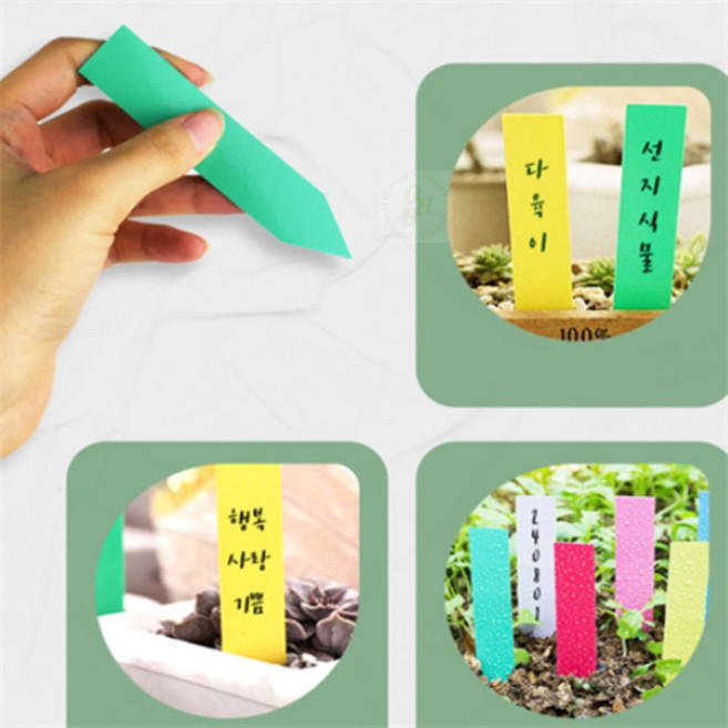 식물 이름표 100개 체험학습, 10x2 그린