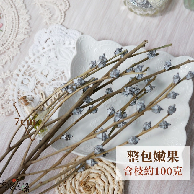 極度花燥 澳洲進口 尤加利果 乾燥花材, 整包尤加利果,嫩果,約100克,考量運送長度剪短則重量會變少