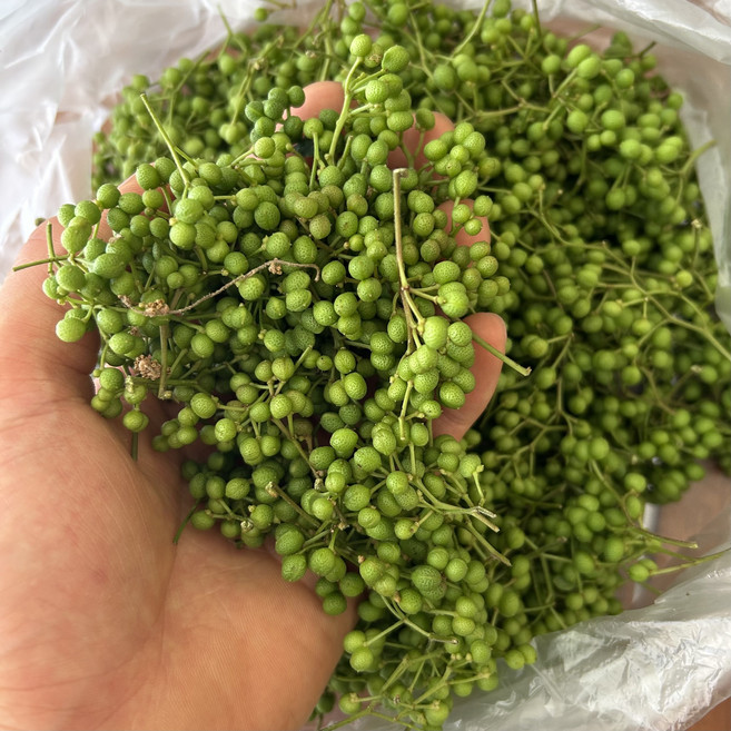 국산 무농약 노지 생 제피 열매 말린 건 제피 초피 산초 재피, 100g, 1개