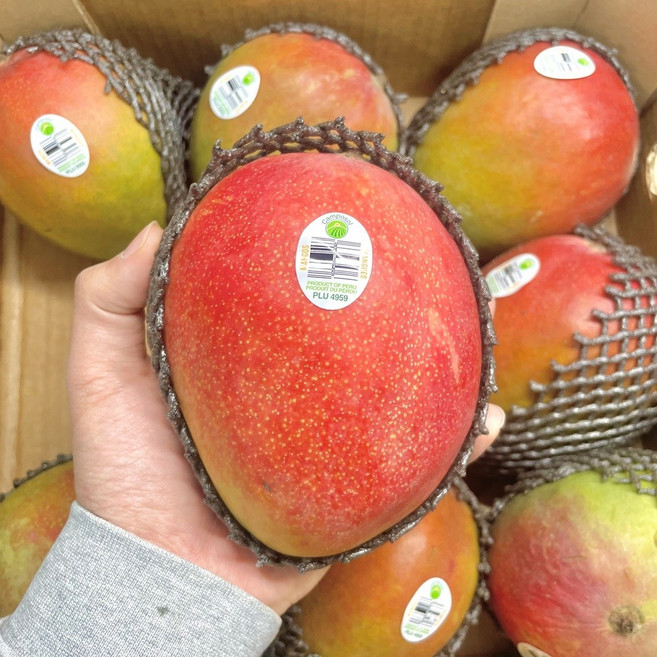 페루산 프리미엄 달콤 애플망고, 1개, 2kg