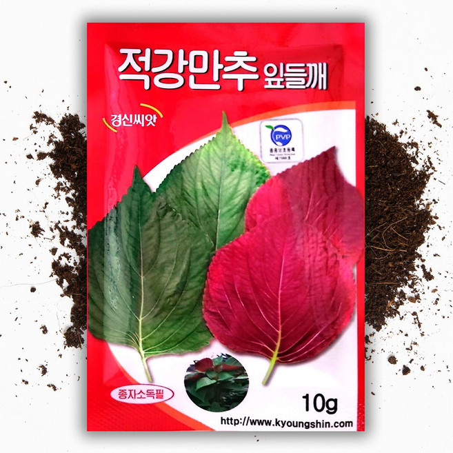씨앗팜 적강만추 잎들깨 씨앗 종자 10g, 1개