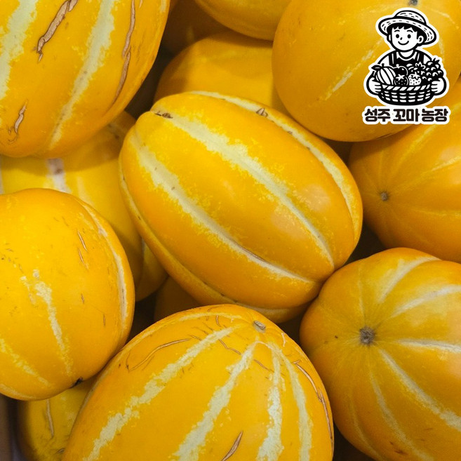 산지직송 성주참외 꿀참외 당도선별, 1개, 가정용 참외 한입 꼬마 2kg