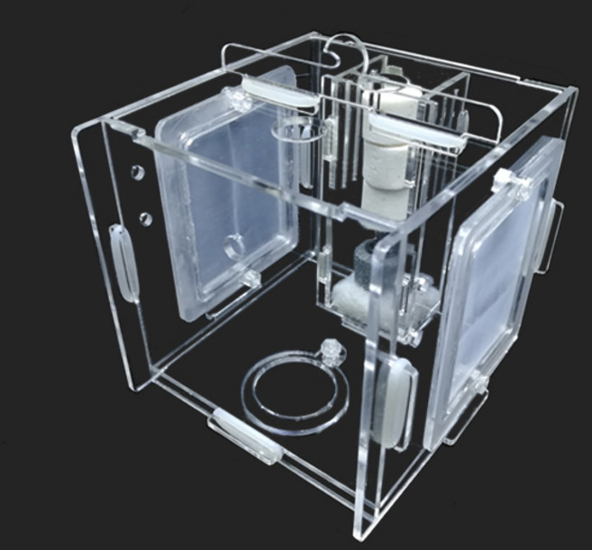 다용도 멀티격리형 부화통 1칸(미세망2개)10x10x10cm, 상세 설명 참조
