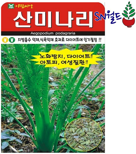산미나리 400립 아람 26년 민속채소씨앗, 1개