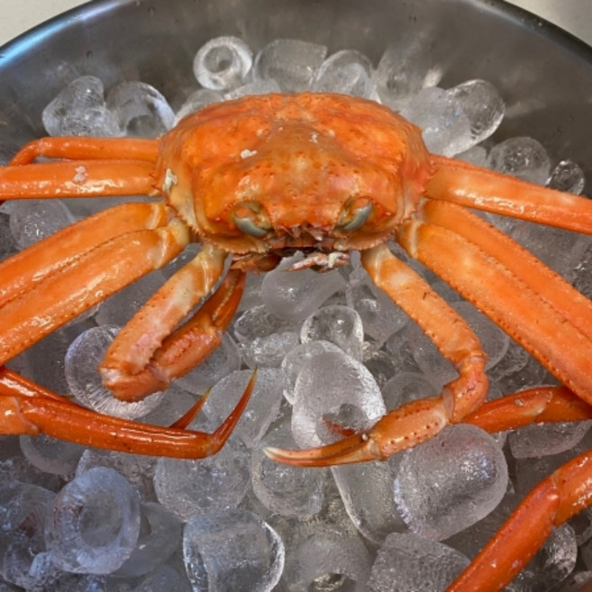 산지직송 동해 속초홍게 2kg 자숙 강원도 홍게 찜요리용 단백질식단 캠핑용안주, 일반형 2kg (4-5미 내외)