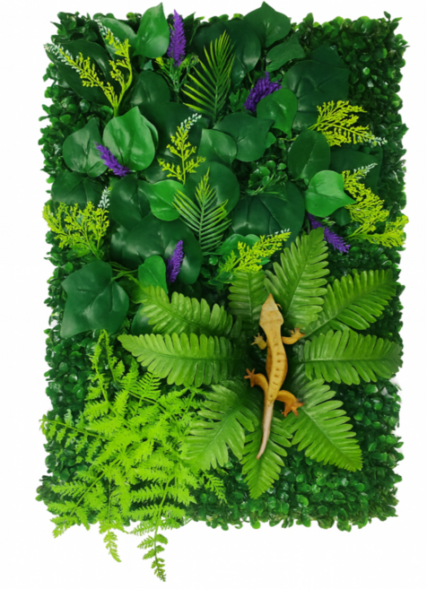 게코홈 크레스티드 게코 백스크린 백업스크린, 1개