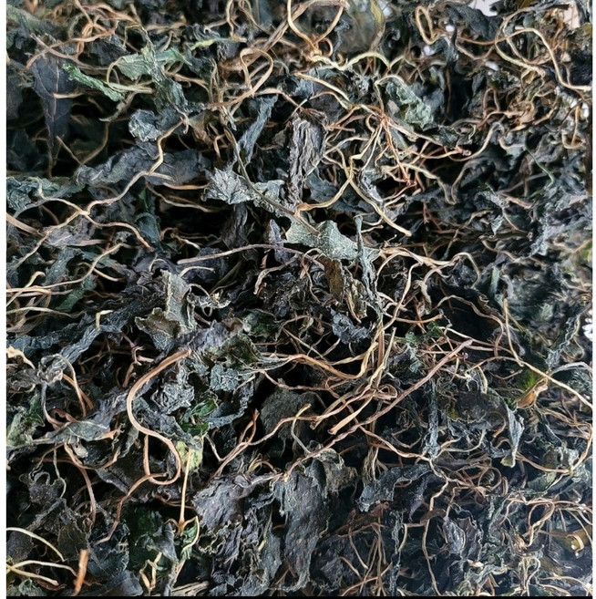 국내산 정선 곤드레 건나물 건고사리 취나물 산뽕잎 다래순 산나물 200g 100g, 1개, 건모듬나물200g