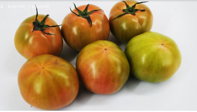 흙살림 무농약 대저토마토 (1kg), 5~6개, 1kg