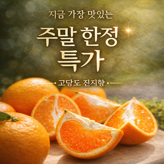 [마지막초특가]딱 50박스 한정 제주 진지향 감귤, 1세트, 대과5kg