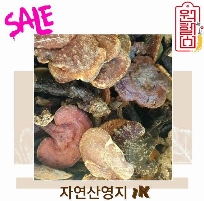 원헬스 자연산 영지버섯 1K 국내산 영지버섯 100% 국산영지버섯 정품진품 특산품 건조영지 original mountain 4시이전 결제시 당일발송, 1개
