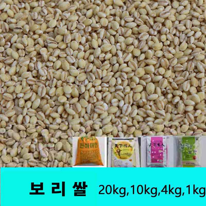 25년산 옛날보리쌀 4kg 10kg 20kg선택 국산 잡곡은보약, 1개
