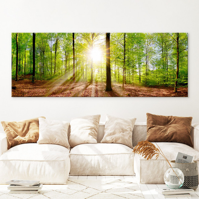 돈들어오는 화사한 자작나무 캔버스 액자 풍수 거실 인테리어 그림 더아트컴퍼니, 9. 아침 숲길 와이드