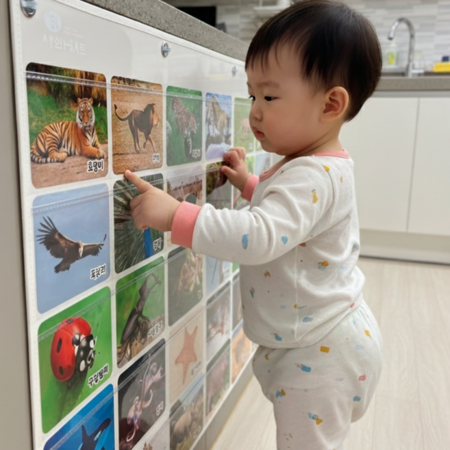 아빠차트 NA7 똑쟁 핑크퐁 아기똥 진짜진짜생생한 마술 아기 유아 낱말카드 차트 노출 수납 꽂이, 아이보리, 1개