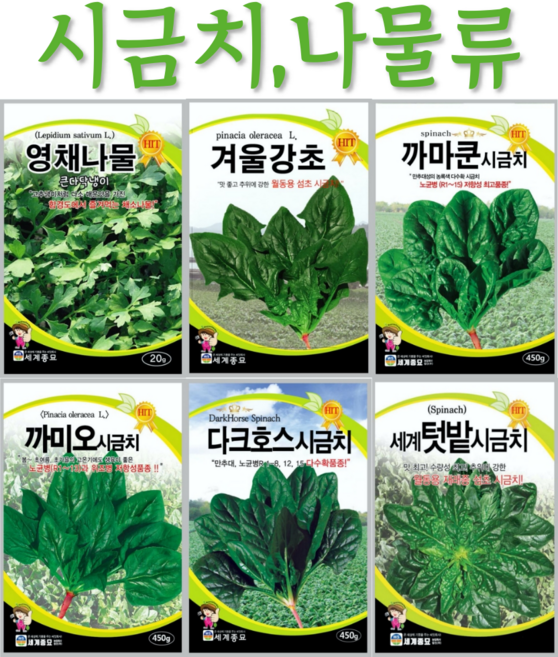 주주씨앗 시금치 나물류 / 영채나물 / 시금치 / 쿠로바 / 월동춘채 / 해금초 / 텃밭만들기 / 텃밭재배 / 시금치씨앗 / 채소나물 / 텃밭식물 / 나물씨앗, 7. 쿠로바시금치 400g, 1개