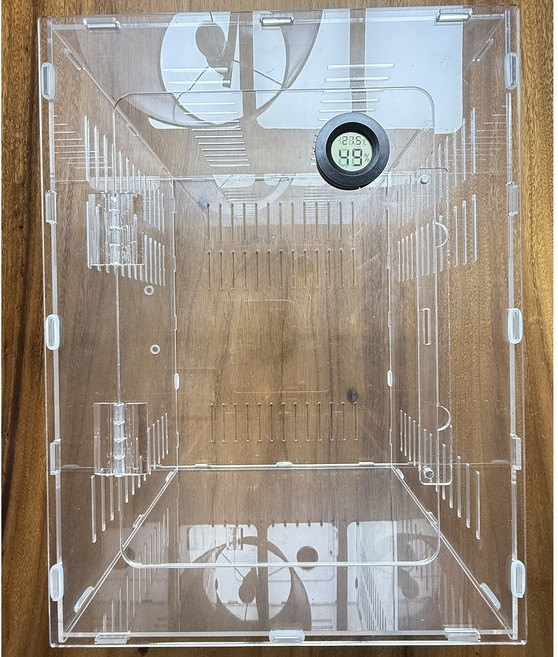 정하남 크레스티드 게코 도마뱀 사육장 세트, 1개, 대(30x30x40) 사육장