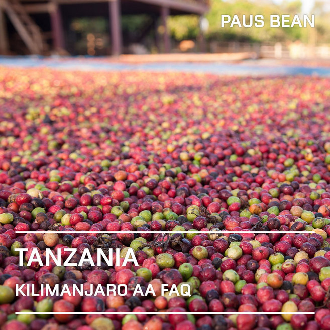 생두대빵 탄자니아 킬리만자로 AA FAQ 생두, 1개, 1kg