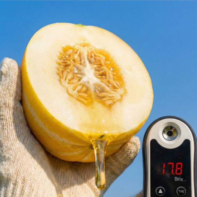 [완판신화] 당도선별 초고당도 성주 참외, 1박스, 3kg