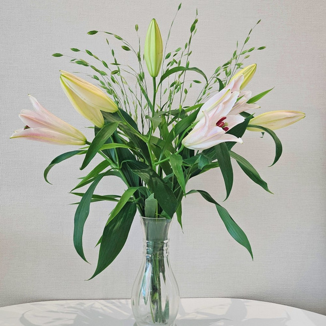 [꽃같은하루] 백합꽃 시베리아 쉐라 백합 향기좋은꽃, 1개, 시베리아 흰색백합 3대