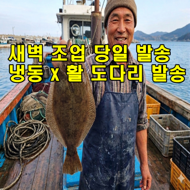 자연산 제철 맞은 활 봄 도다리 1kg 횟감 가능, 1개, 급냉 도다리 1kg(1-4미랜덤)