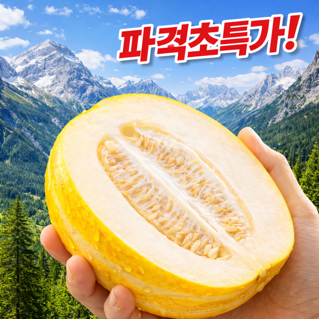 [100박스한정판매] 재구매율1위 아삭달콤 14brix 성주참외, 1박스, 5kg