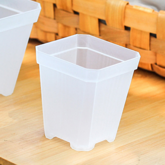 삽목용 투명 사각화분 소(7cm) - 제라륨 삽목, 30개