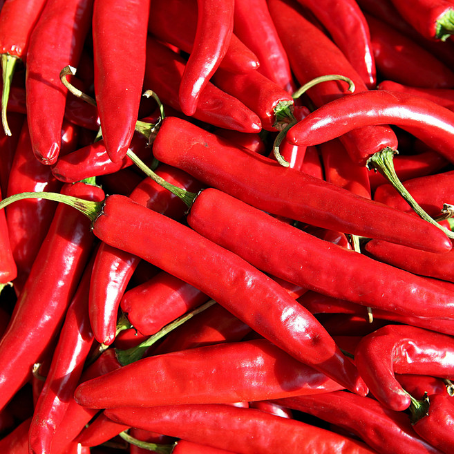 신선한 국내산 홍고추 홍초 500g 1kg 10kg, 홍고추10kg