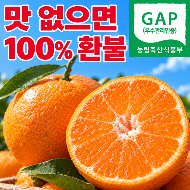 맛없으면 100% 환불 제주도 당도폭발 감귤, 1박스, 3kg (로얄과)