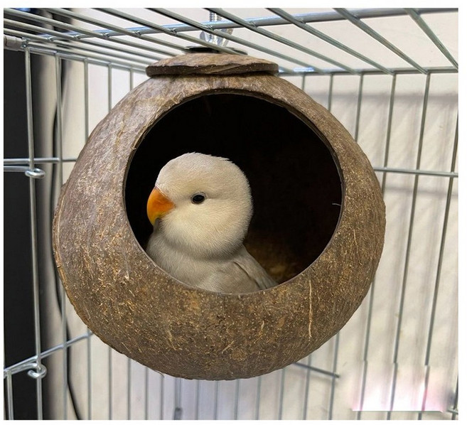 코코넛 둥지 앵무새 둥지 물어뜯기 펫 둥지 여름 펫 둥지 사계절 내내 매달려 있음, 광택, 1개