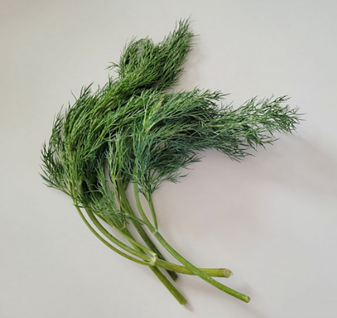 [재구매율 BEST] 국산 딜 DILL 100G 허브딜 레몬딜 농장직송, 1개