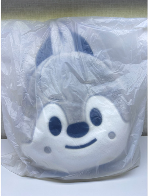 스트레이키즈 스키주 숄더백 SKZOO FACE SHOULDER BAG 방찬 울프찬 스키즈 팝업 공식 굿즈, ONE