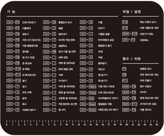 엑셀 단축키 마우스 패드 48종 함수 모음 눈금자 경리 회계 회사원 컴퓨터 초보생 필수품, 단일모델, 1개