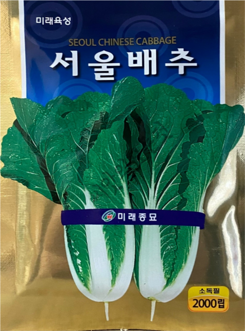 서울배추 씨앗 종자 2000립, 1개