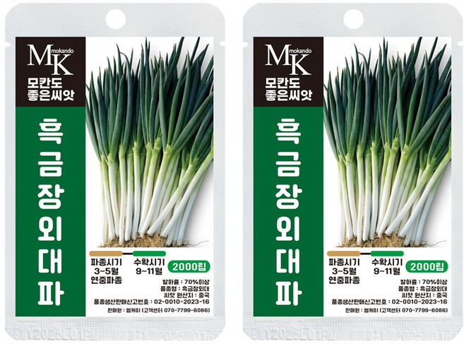 모칸도 좋은씨앗 대파 씨앗 2000립 흑금장외대파 잎줄기채소 야채 씨앗, 2개