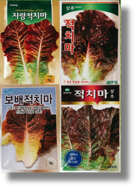 상추 씨앗 종자 적치마 씨앗 8g, 자랑적치마, 1개