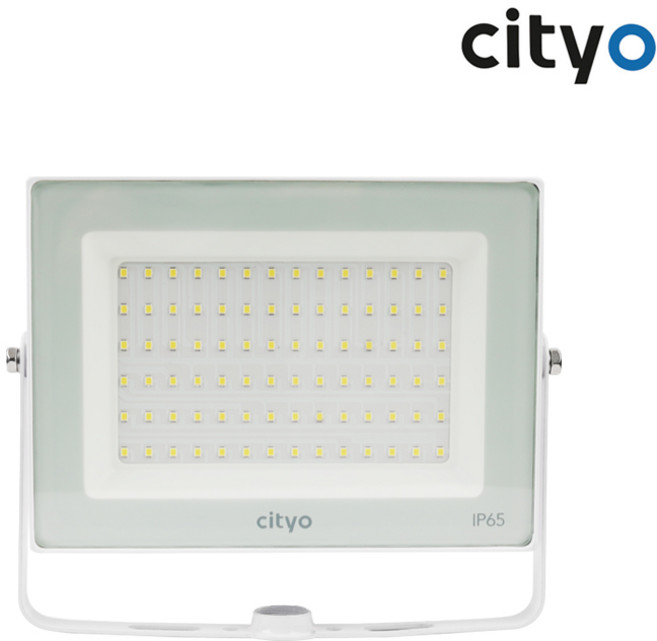 씨티오 LED 투광기 화이트 50W 주광색 투광등 야외조명, 1개