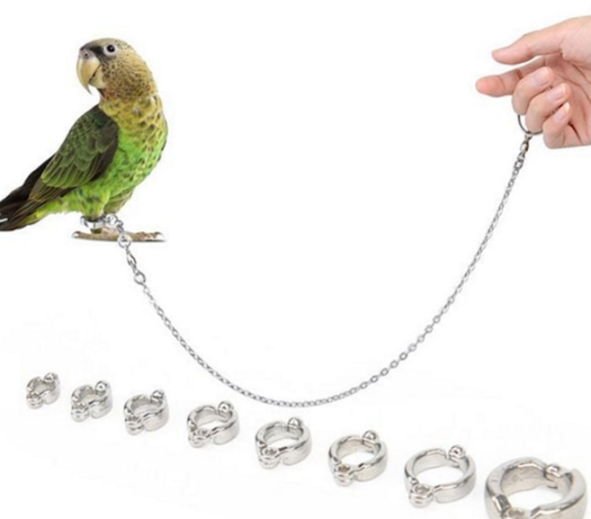 앵무새 산책 발목링 야외 훈련 스텐 리드줄 조류 스트랩, 7번, 7번